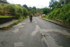 p_20171130_124056_38783692302_o